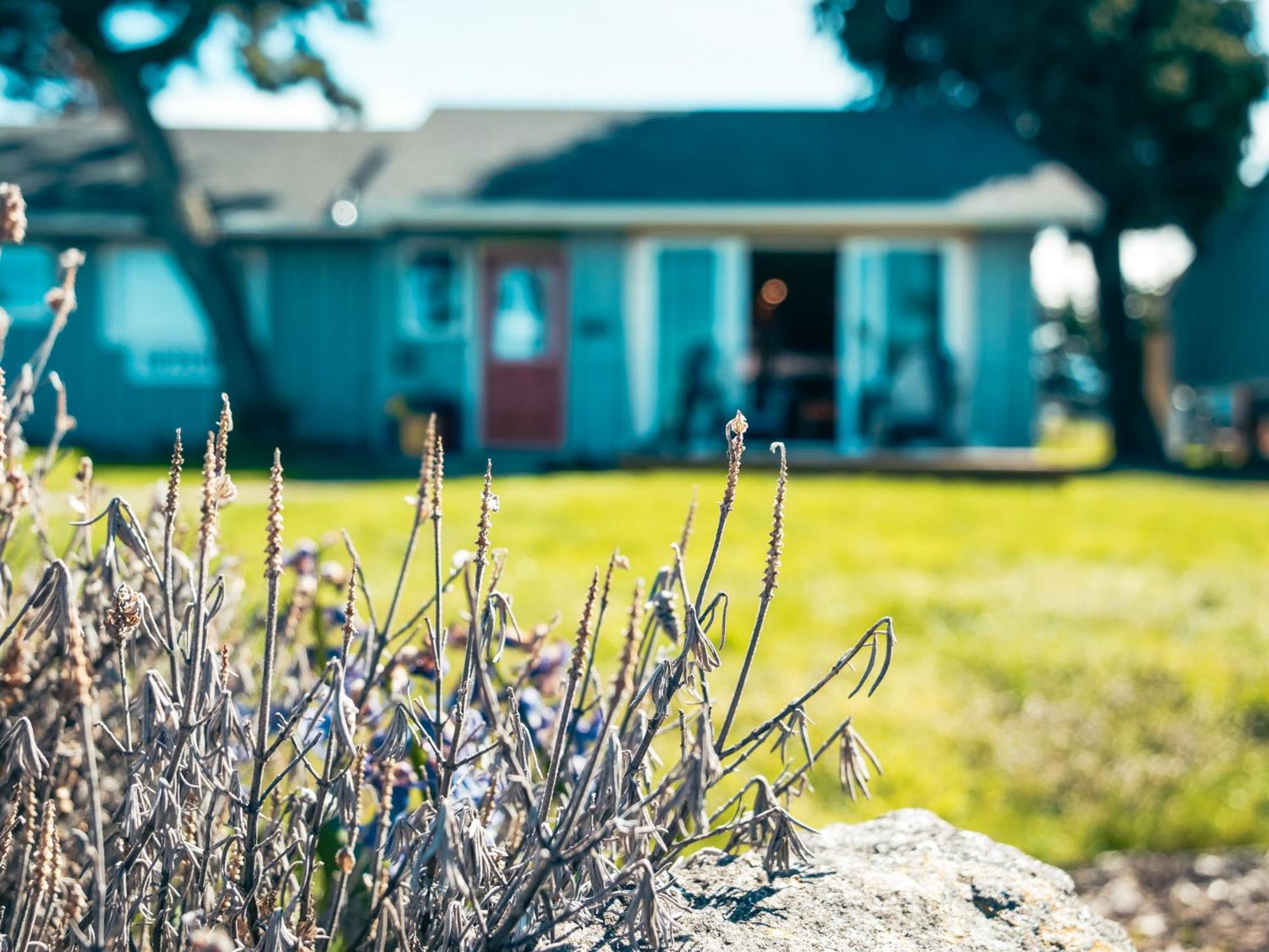 Dungeness Bay Cottages Скуим Екстериор снимка